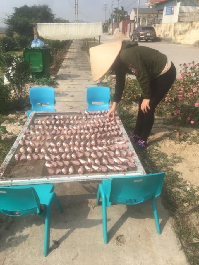 1627039491445028_311591583138431_7628067187067977728_n-162703.jpg Công việc mới của cô giáo hợp đồng phải chạy chợ, mua cá về chế biến thành cá khô để bán.