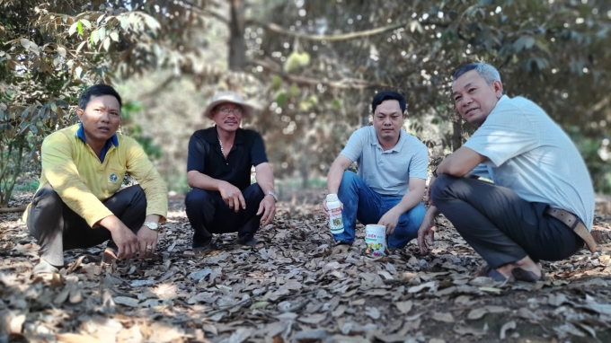Anh Lã Quốc Thái, cán bộ Phòng NN–PTNT huyện Phú Riềng hướng dẫn bà con phòng trị bệnh thối thân xì mủ trên cây sầu riêng. Ảnh: Trần Trung.