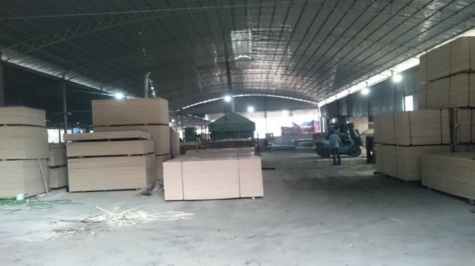16220382a5-162203.jpg Ván ép của Cty CP Yên Thành chờ xuất khẩu. Ảnh: Thái Sinh.