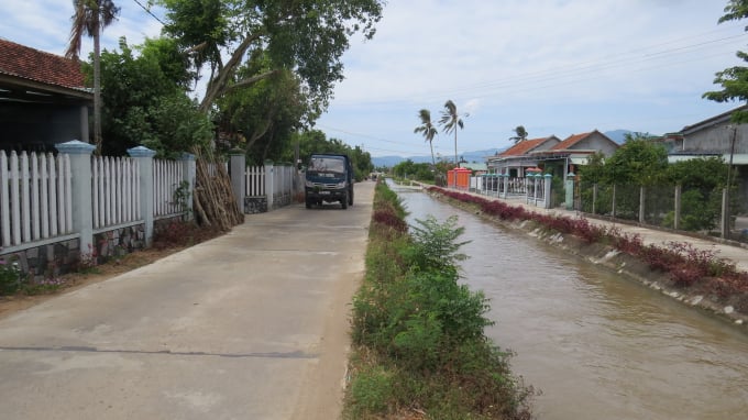 08073320hoa-phon-080733.jpg Đường hoa xã Hòa Phong (huyện Tây Hòa).