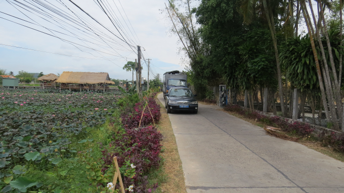 08073757hoa_don-080737.jpg Đường hoa xã Hòa Đồng (huyện Tây Hòa)
