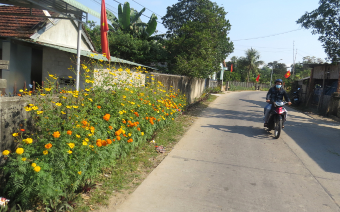 08073885xq3-080738.jpg Đường hoa thôn Thạnh Đức, xã Xuân Quang 3 (huyện Đồng Xuân).