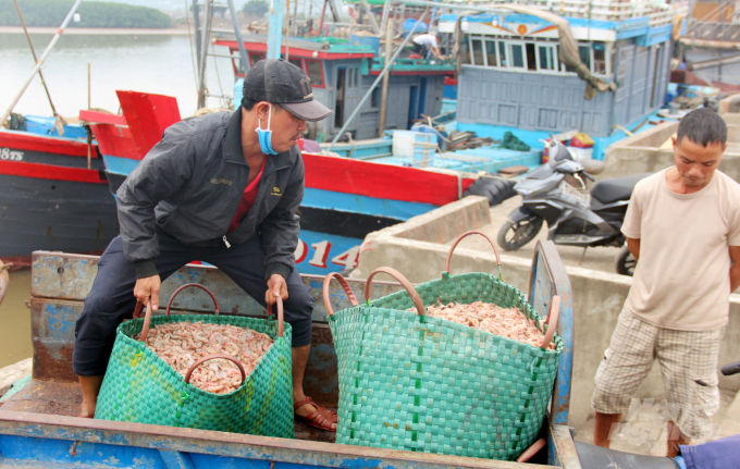 watermark_2-1250_20200412_160.jpg Hải sản đánh bắt có giá trị kinh tế thấp. Ảnh: Võ Dũng.