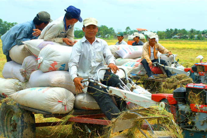 anh-1-1516_20200416_789.jpg Bảo đảm vững chắc an ninh lương thực quốc gia và từng bước bảo đảm an ninh dinh dưỡng là trách nhiệm của ngành nông nghiệp. Ảnh: Lê Hoàng Vũ.