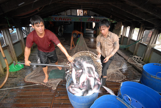 anh-7-1528_20200416_407.jpg Ngành nông nghiệp ngày càng khẳng định là vai rò trụ cột của nền kinh tế, tuy nhiên đầu tư công dành cho ngành mới đạt 30% nhu cầu. Ảnh: Lê Hoàng Vũ.