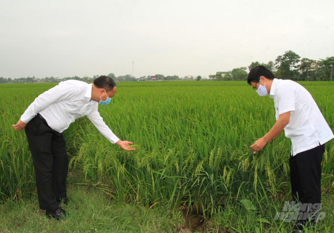 watermark_yen-thanh-4-1049_20200421_685.jpg Sự sâu sát đến từ các cấp lãnh đạo là yếu tố then chốt. Ảnh: Việt Khánh.
