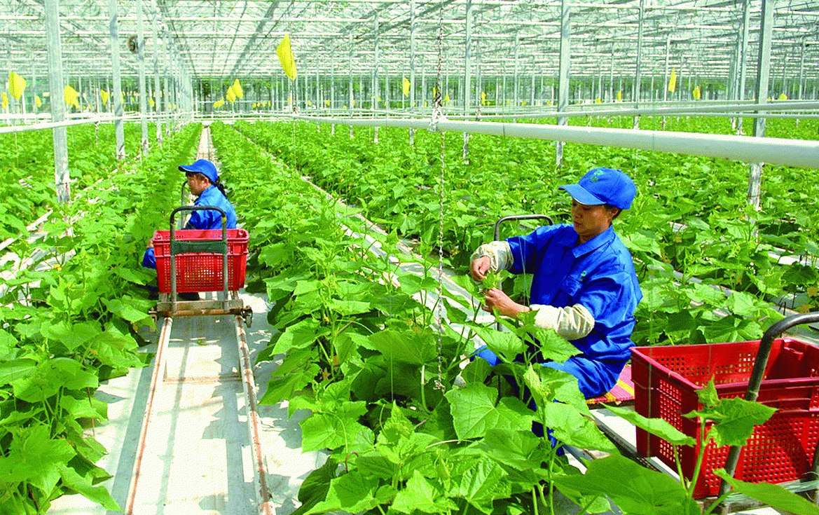 'Hết gạo chạy rông, nhất nông, nhì sĩ'