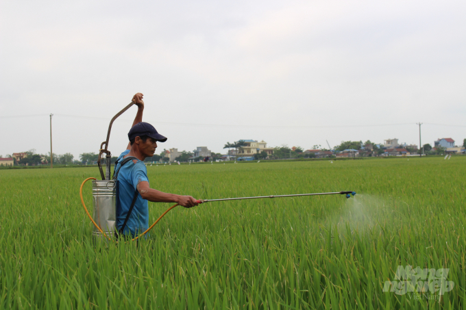 Người dân chủ động phun thuốc trừ sâu phòng trừ sâu gây hại trên lúa. Ảnh: Mai Chiến.