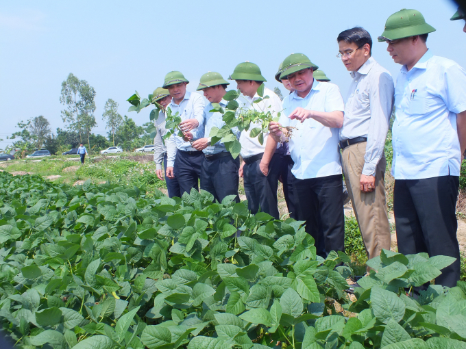 Thứ trưởng Lê Quốc Doanh (thứ 3 từ phải sang) đánh giá cao sự linh hoạt trong chuyển đổi đất lúa kém hiệu quả sang cây trồng giá trị cao tại Hải Phòng. Ảnh: Lê Bền.