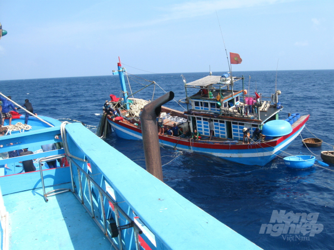 Tàu cá của ngư dân Bình Định đánh bắt trên biển Đông sẵn sàng hỗ trợ nhau khi có sự cố trên biển. Ảnh: Vũ Đình Thung.