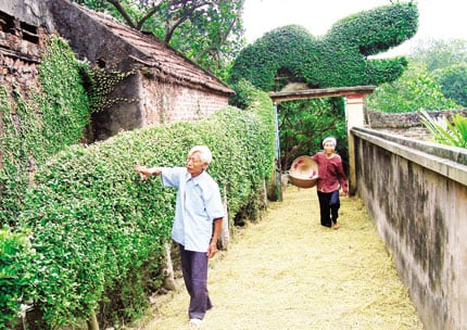 bai-viet-ve-nong-thon-1456_20200521_0.jpg Về nông thôn giờ thường vắng bóng thanh niên.