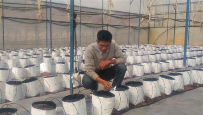 Hệ thống cảm biến đo độ EC và pH tại Trang trại Định Farm Đà Lạt