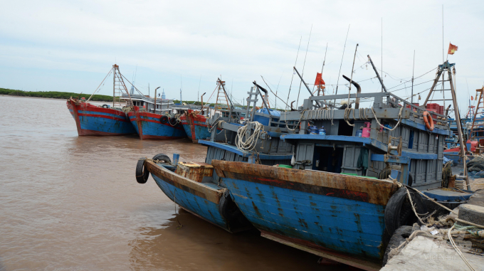 watermark_thuy-san-khai-thac-san-sang-xuat-chinh-ngach-trung-quoc-2301_20200520_536.jpg Nhiều tàu cá tạm dừng khai thác do lợi nhuận sụt giảm. Ảnh: Kế Toại.