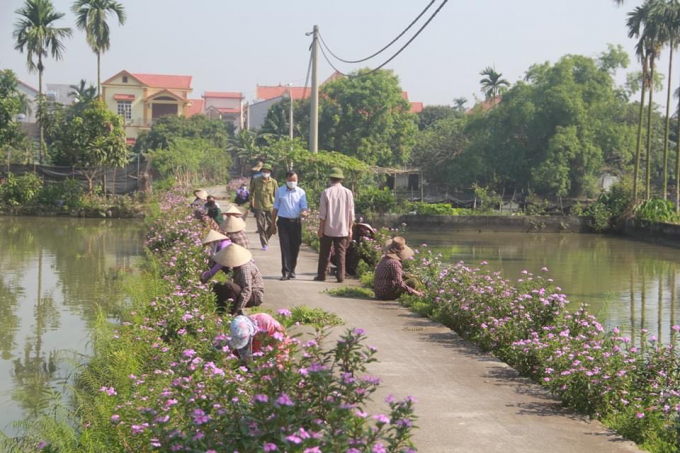 1137171798327702_964077147345340_2305539964911222784_n-113717.jpg Nhân dân khu Mỹ Cụ 2 chung sức nhổ cỏ, dọn vệ sinh trên tuyến đường hoa.