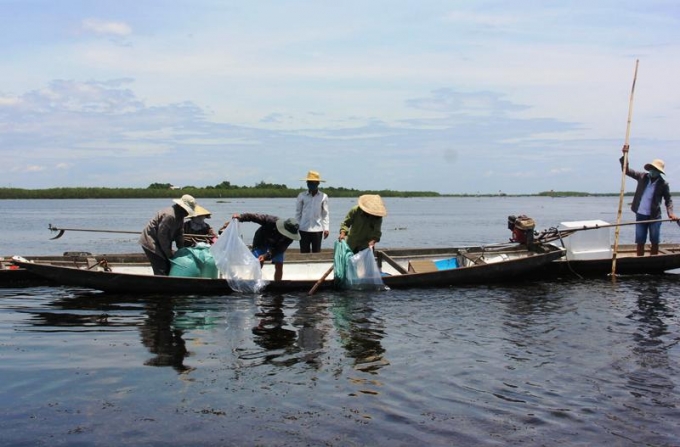Vùng đất ngập nước hệ đầm phá Tam Giang - Cầu Hai kéo dài 68 km dọc bờ biển tỉnh Thừa Thiên- Huế, thuộc địa phận của 5 huyện. Ảnh: Tiến Thành.