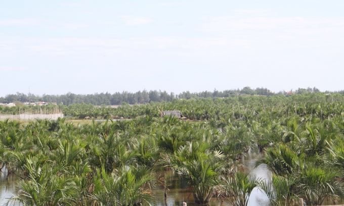 Đây là đầm phá đất ngập nước tiêu biểu lớn nhất Đông Nam Á,có giá trị đa dạng sinh học rất cao. Ảnh: Tiến Thành.