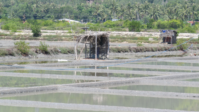 06012551m3-060125.jpg Ruộng muối ở Sông Cầu.