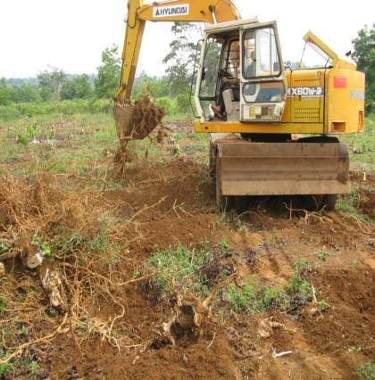 Dùng máy múc để đào gốc và rễ cây cà phê cũ trước khi trồng tái canh. Ảnh: Tuấn Anh.