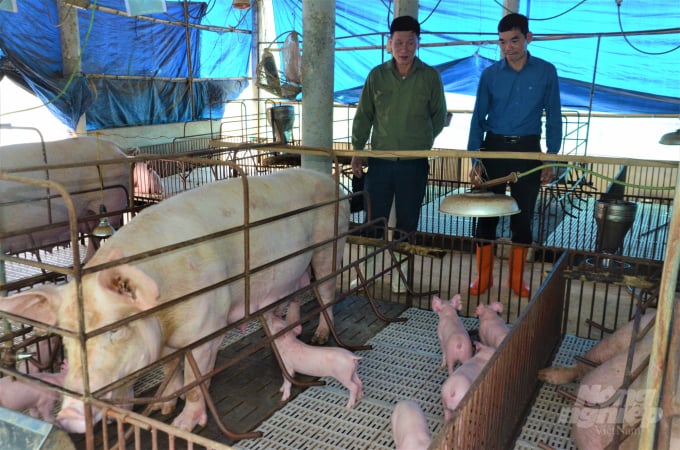 Giai đoạn 2020 - 2025, tỉnh Tuyên Quang sẽ tiếp tục đẩy mạnh ứng dụng khoa học công nghệ vào sản xuất để nâng cao giá trị và hiệu quả kinh tế nông nghiệp. Ảnh: Đào Thanh.
