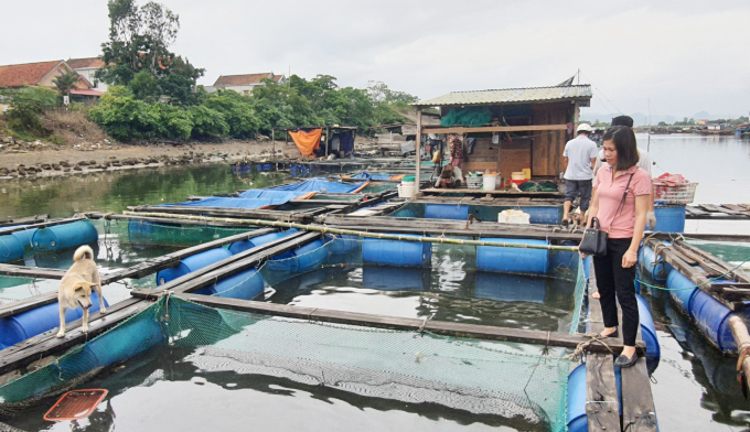 2222-0637_20200625_887.jpg Phát triển nuôi cá lồng ven sông Gianh là một thế mạnh ở vùng cồn bãi Quảng Lộc. Ảnh: Tâm Phùng.
