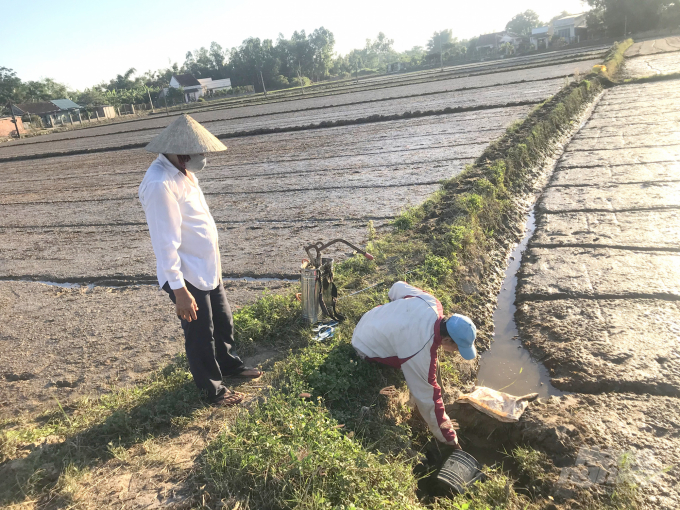 Mỗi khi pha bình thuốc mới, người phun tìm đến mương để lấy nước, lúc mở chai thuốc đổ vào bình dù cẩn thận đến mấy thuốc cũng dính vào tay. Ảnh: Vũ Đình Thung.