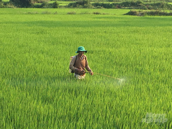 Dù bơm thuốc độc nhưng người bơm không được bảo hộ. Ảnh: Vũ Đình Thung.