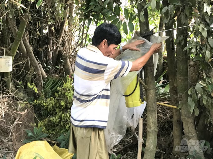 Dù đã được treo ở góc vườn nhưng ông Hương còn bọc thêm bên ngoài chiếc bình bơm thuốc lớp bao ni lông để an toàn. Ảnh: Vũ Đình Thung.