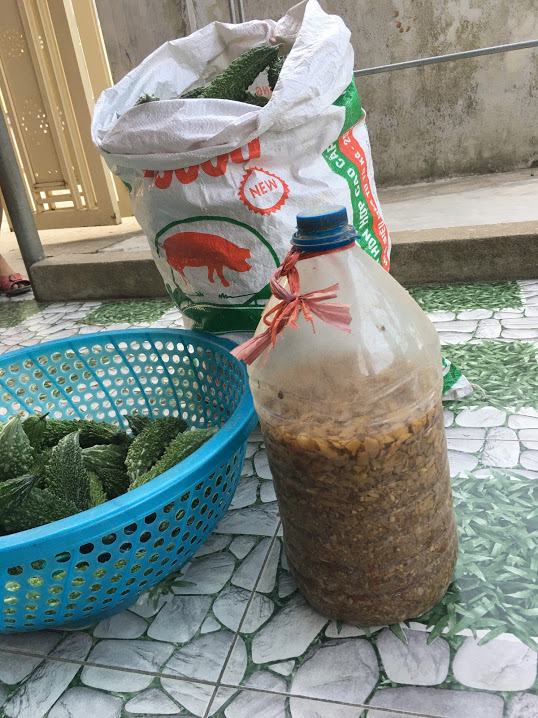 09504538dung_dich_tu_che_lam_thuoc_phong_tru_sau_benh-095045.jpg Chế phẩm sinh học phòng trừ sâu bệnh được làm ra từ rượu, gừng, tỏi, ớt.