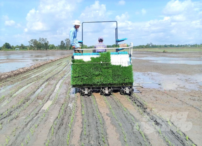 Dự án VnSat Cần Thơ trình diễn mô hình áp dụng cơ giới hóa trong khâu gieo cấy lúa. Ảnh: Hữu Đức.