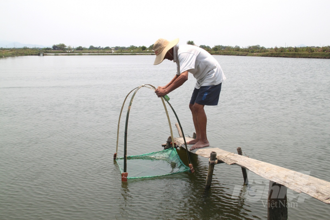 watermark_a4-1517_20200713_12.jpg Người nuôi phải kiểm tra tôm nuôi mỗi ngày để 'đọc' sức khỏe của tôm. Ảnh: Vũ Đình Thung.