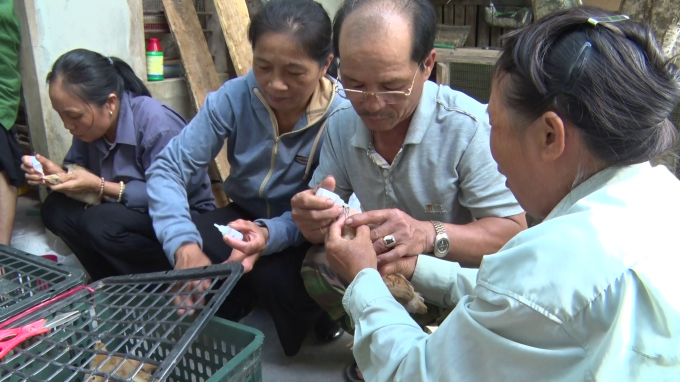0654255toan_434-065425.png Hướng dẫn tiêm phòng cho gia cầm.