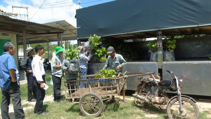 15351093dsc08132-153510.jpg Bàn giao cây giống cho nông dân.
