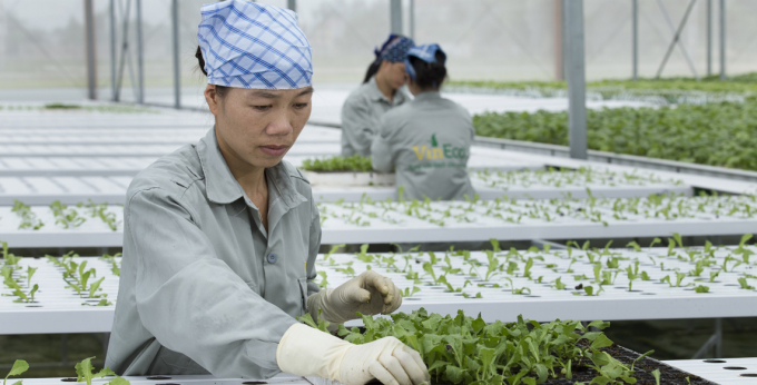 Hàng nông sản do hệ thống siêu thị, cửa hàng tiện ích của VinCommerce được kiểm soát chặt chẽ về chất lượng và nguồn gốc xuất xứ. Ảnh: TL.