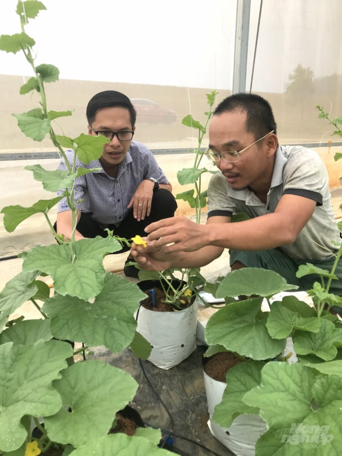 watermark_hop-tac-xa-nong-nghiep-cong-nghe-cao-dau-tien-o-binh-dinh-1750_20200817_48.jpg Anh Trần Bảo Diệp (bìa phải), sáng lập viên HTXNN công nghệ cao La’sfarm Ân Phong. Ảnh: Vũ Đình Thung.