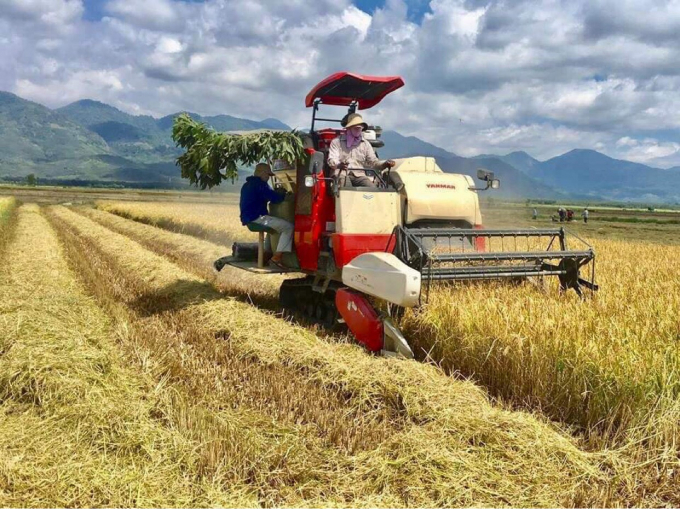 Huyện miền núi Đức Linh hiện đã hình thành nhiều mô hình liên kết. Ảnh: QĐ.