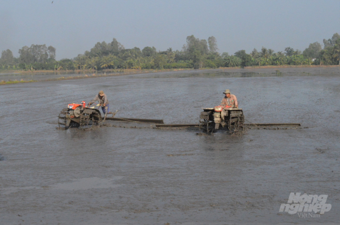 Dự kiến Hậu Giang sẽ có thêm đợt xuống giống lúa thu đông vào tháng 9, từ 2.000 - 3.500ha, nhằm tăng tối đa diện tích gieo trồng. Ảnh: Trung Chánh.
