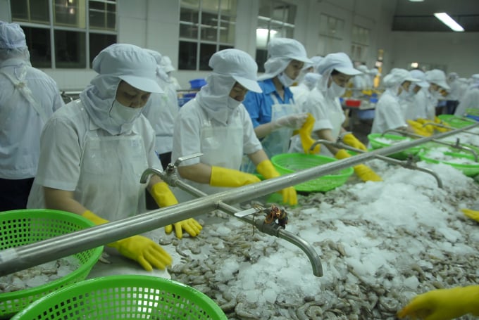 Giai đoạn 2021 - 2025, ngành thủy sản duy trì tốc độ tăng tổng sản lượng thủy sản từ 3- 5%/năm. Ảnh: Vũ Đình Thung.