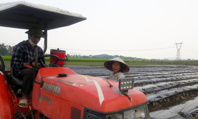 san-xuat-vu-dong-nhin-thuc-te-tu-bac-trung-bo-2212_20200909_60.jpg Cơ giới hóa giúp giảm ngày công lao động, một trong những yếu tố giúp tăng hiệu quả kinh tế trên đơn vị diện tích nhưng cũng chưa đủ sức hút để nông dân mặn mà với vụ đông. Ảnh: Võ Dũng.