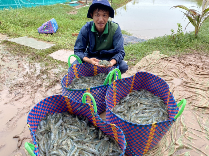 cap-ma-so-co-so-nuoi-tom-moi-dat-04-1506_20200927_789.jpg Yêu cầu truy xuất nguồn gốc đòi hỏi các cơ sở nuôi phải có mã số. Ảnh: Lê Hoàng Vũ.