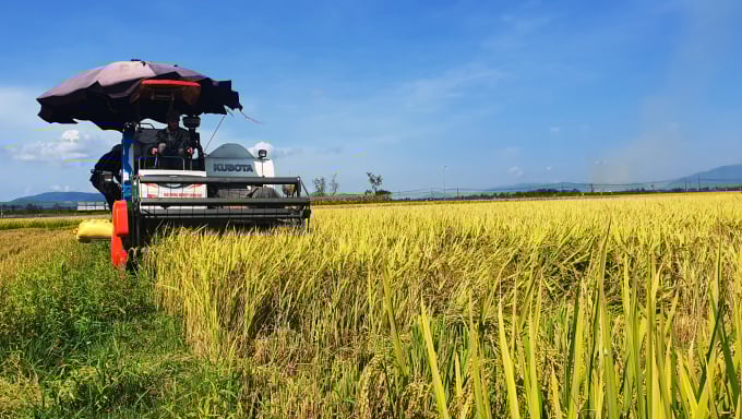 Các cánh đồng mẫu ở Quảng Ngãi áp dụng cơ giới hóa vào sản xuất, tăng hiệu quả kinh tế. Ảnh: L.K.