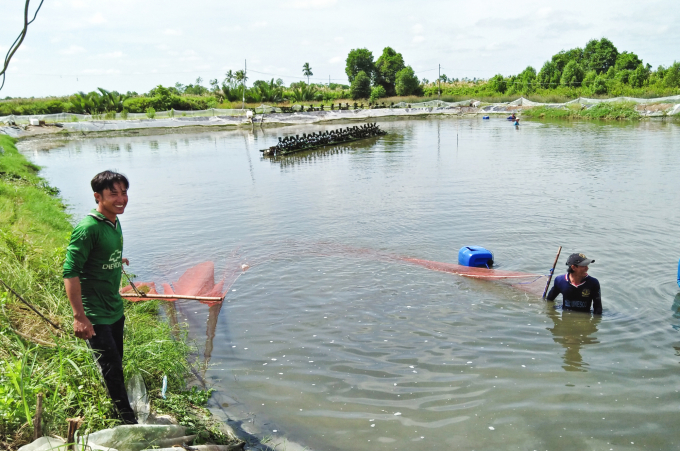 1-nuoi-tom-quang-canh-thuan-thien-o-soc-trang--anh--xt-bai-2-1329_20201003_870.jpg Nuôi tôm quảng canh thuận thiên ở Sóc Trăng. Ảnh: XT.
