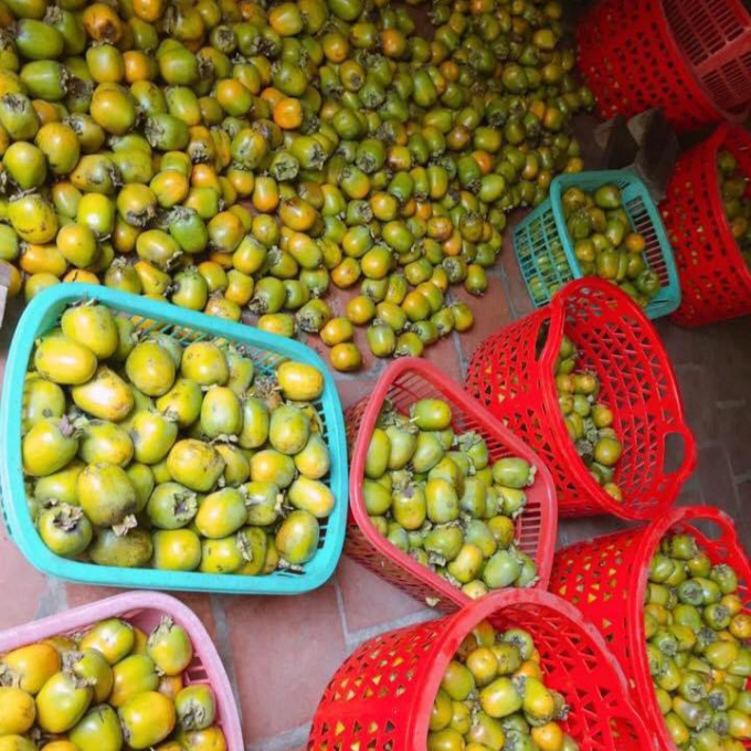 15400899hong_khong_hat-154008.jpg Sản phẩm hồng không hạt Vũ Quang.
