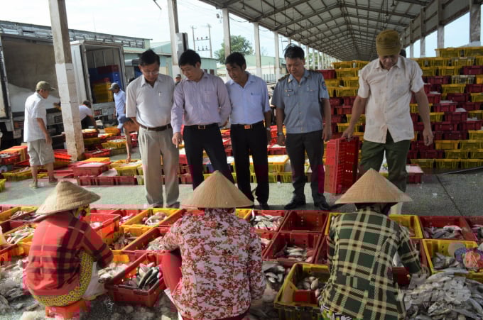 Huyện Châu Thành có thế mạnh về dịch vụ hậu cần nghề cá, với cảng cá Tắc Cậu và hàng chục doanh nghiệp chế biến thủy sản xuất khẩu đóng trên địa bàn. Ảnh: Trung Chánh.
