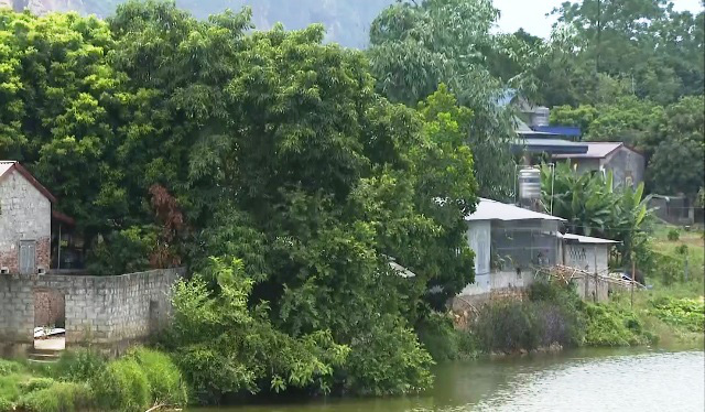 Không bàn giao hồ sơ, công trình thủy lợi bị xâm lấn từ tứ phía.Ảnh: Đồng Văn Thưởng.