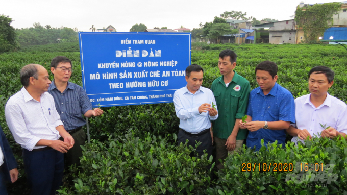Tham quan mô hình sản xuất chè an toàn tại HTX chè Hảo Đạt, xã Tân Cương, TP.Thái Nguyên.