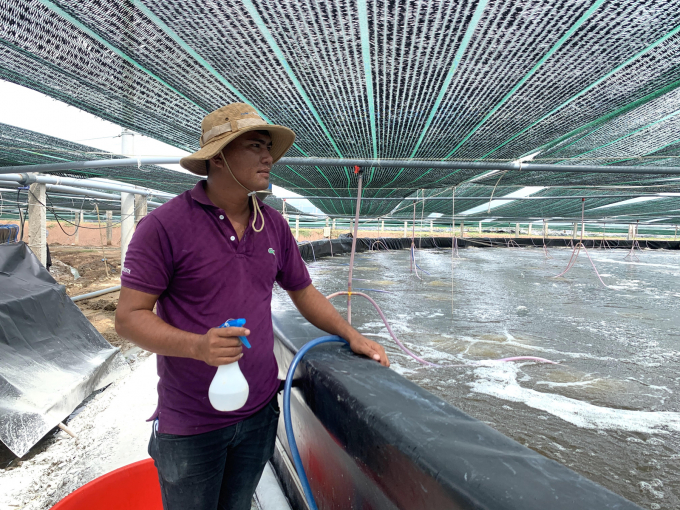 nuoi-tom-cong-nghe-cao-trong-ao-noi-cua-vina-clearnfood--anh-hd-0943_20201101_603.jpg Nuôi tôm công nghệ cao trong ao nổi của Vina Clearnfood. Ảnh: Hữu Đức.