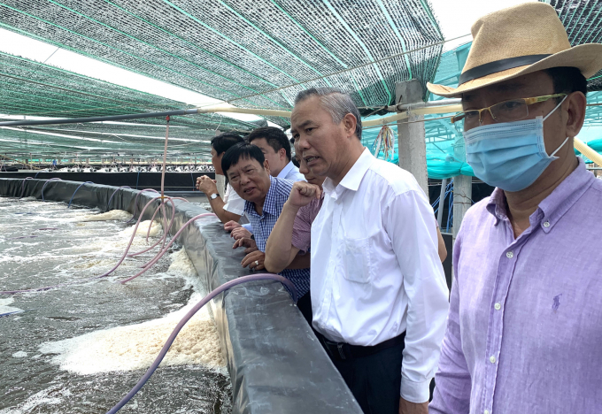thu-truong-phung-duc-tien-giua-va-ong-vo-quoc-phuc-tgd-vina-cleanrfood-phai-xem-mo-hinh-nuoi-tom-trong-ao-noi--anh-hd-0943_20201101_843.jpg Thứ trưởng Bộ NN-PTNT Phùng Đức Tiến (giữa) và ông Võ Quốc Phục TGĐ Vina Cleanrfood (phải) xem mô hình nuôi tôm trong ao nổi. Ảnh: Hữu Đức.