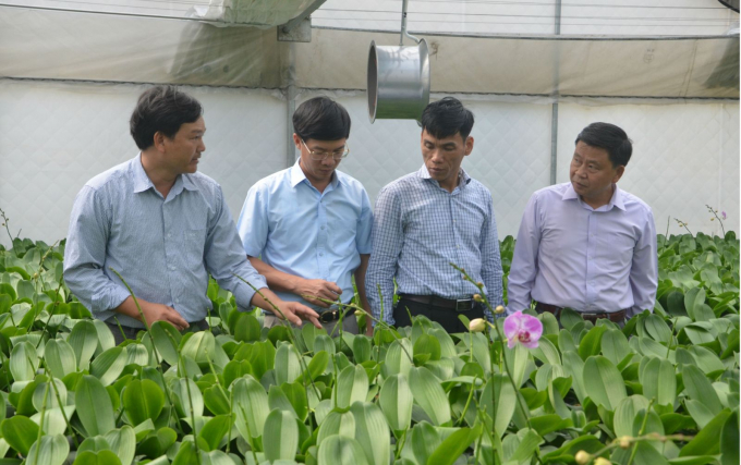 Trồng lan công nghệ cao tại huyện Thủy Nguyên. Ảnh: Đinh Mười.