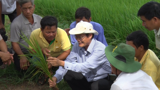 Giáo sư Nguyễn Bảo Vệ: 'Xu hướng của tôi là hướng dẫn về nền tảng khoa học, còn kỹ thuật để họ tự sáng tạo ra giải quyết yêu cầu khoa học đó'.