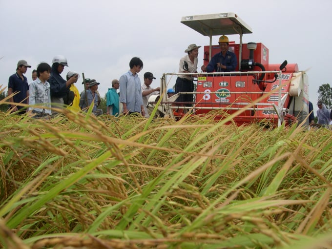 thi-gdlh-2-0533_20201112_475.jpg Hội thi Máy Gặt Đập Liên Hợp năm 2008 tại An Giang